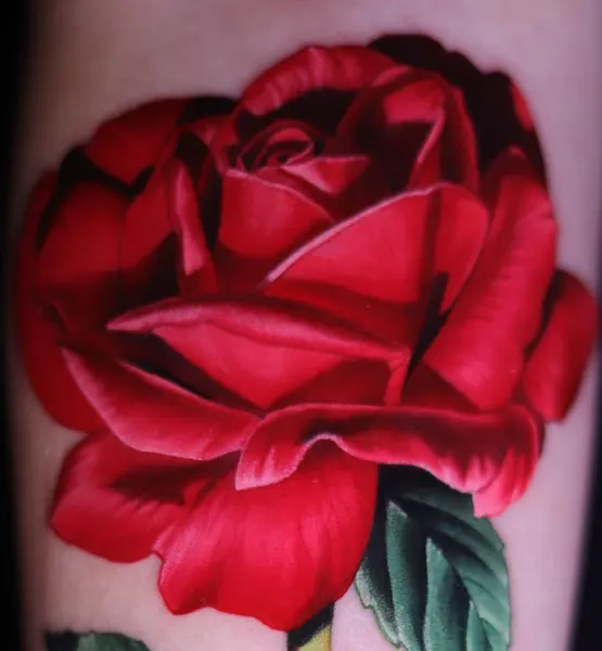 Rose, Flower