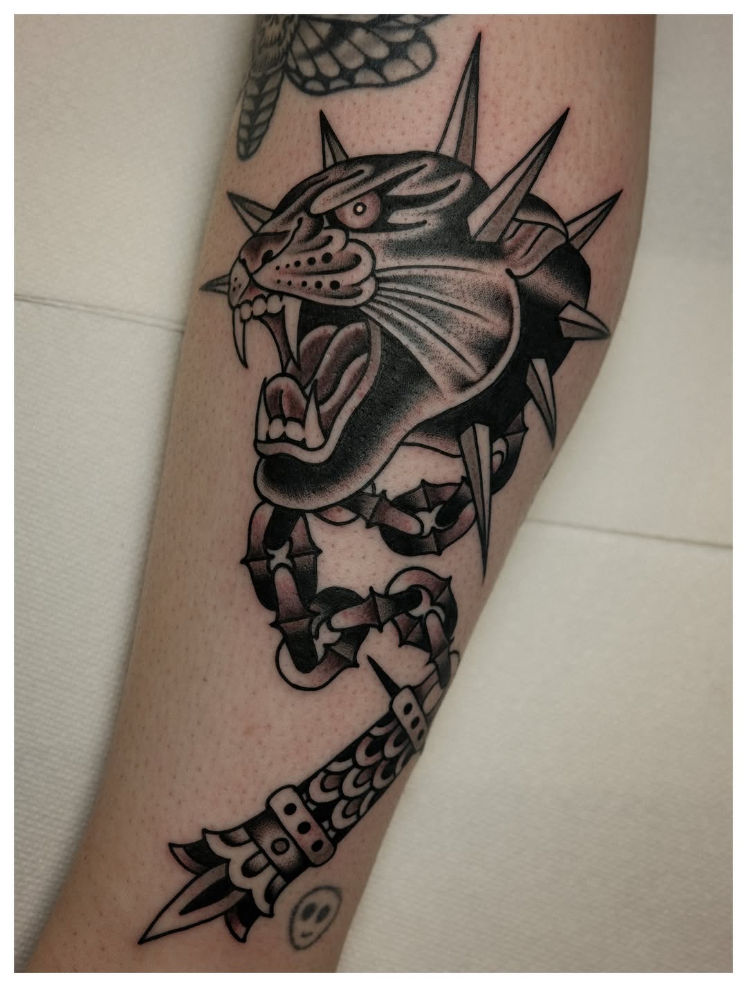 Tiger, Animal