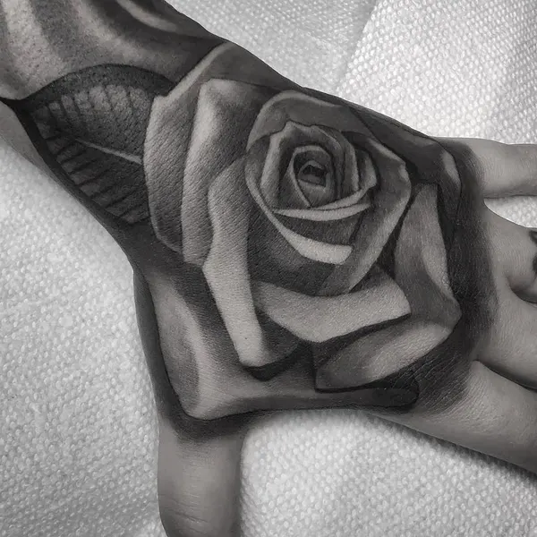 Flower, Rose