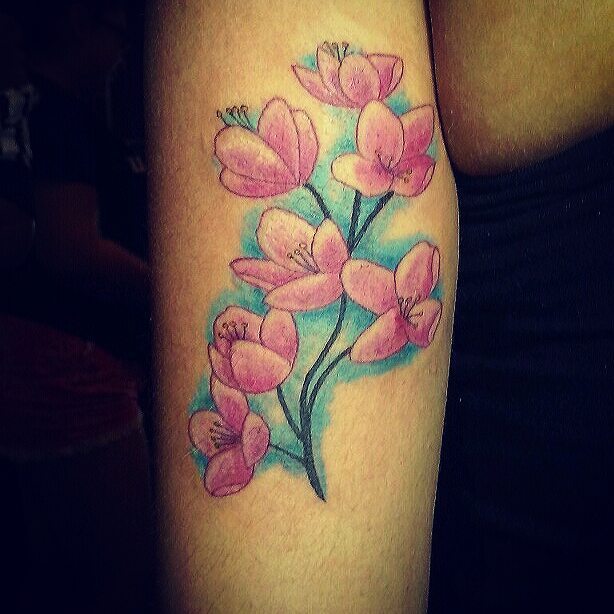 Flower, 튤립