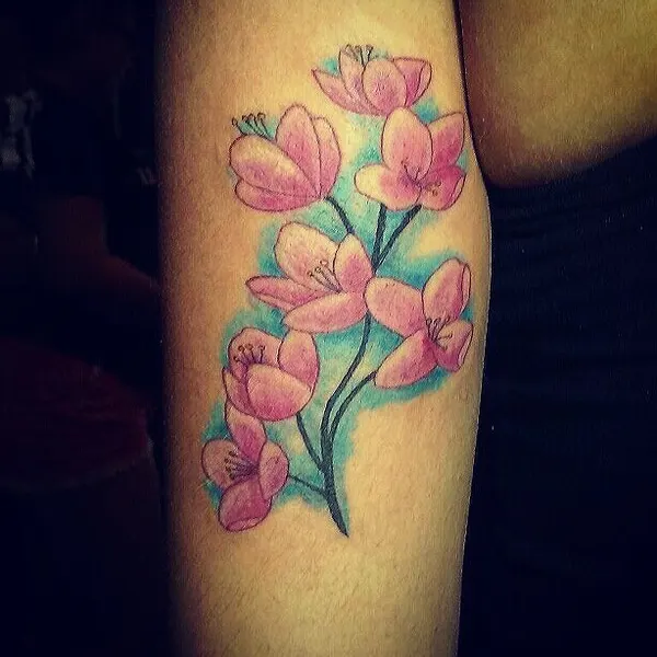 Flower, 튤립