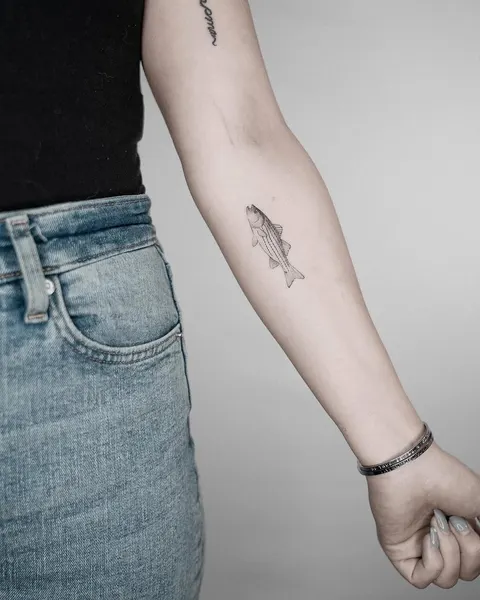 Animal, Nature, 나비