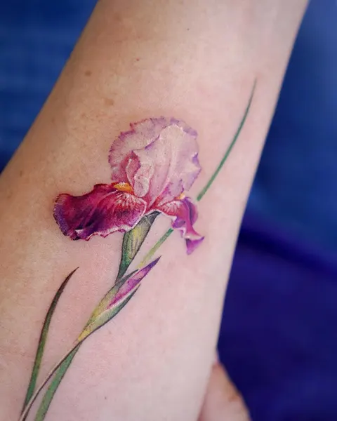 Flower, 아이리스, 백합, 난초, 튤립