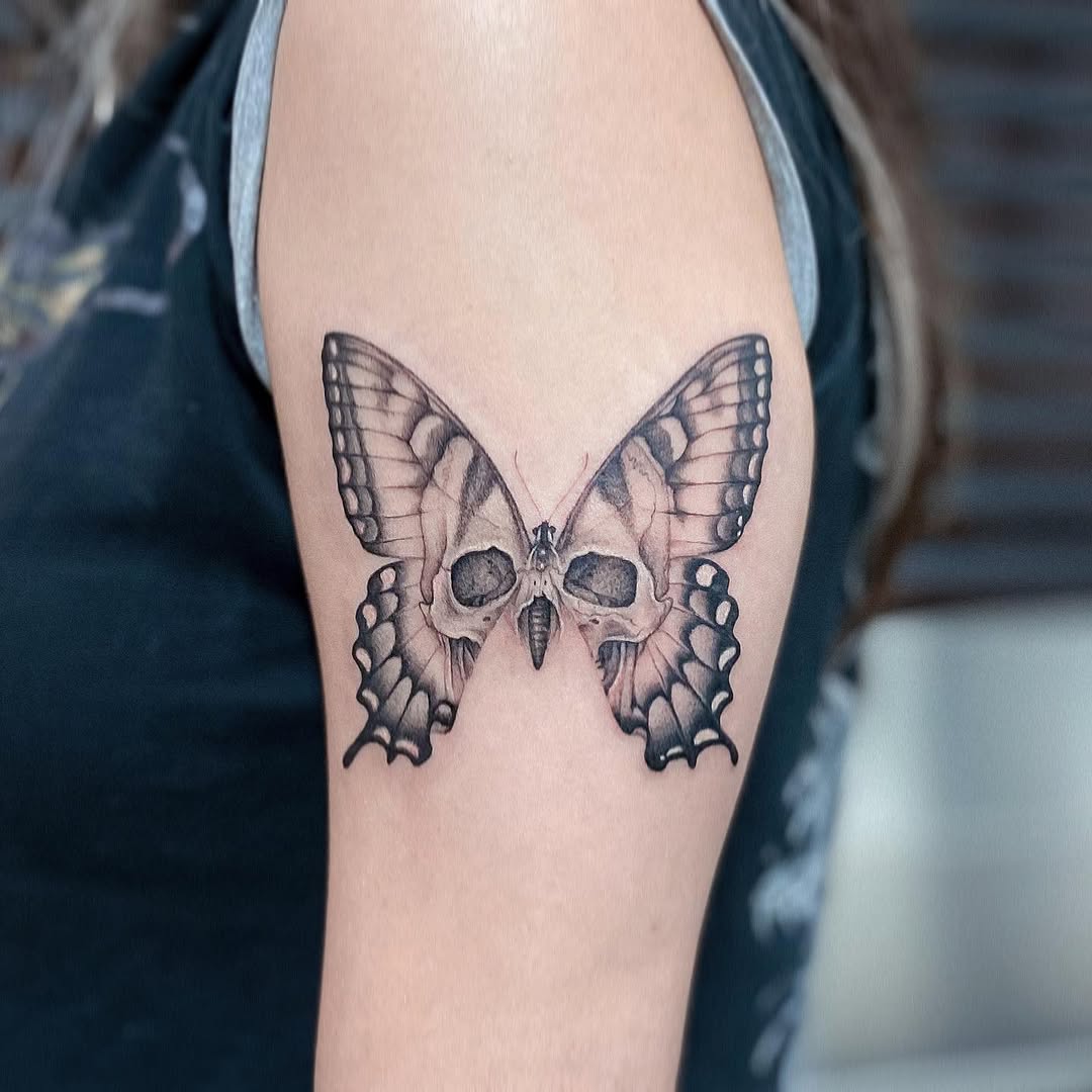 Animal, Nature, 나방, 나비