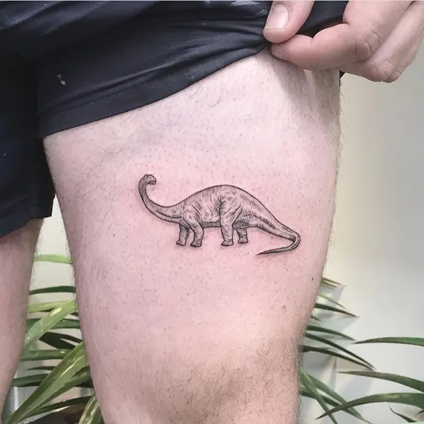 책, Nature, 게임, 풍경, 트럼프 카드, 주사위