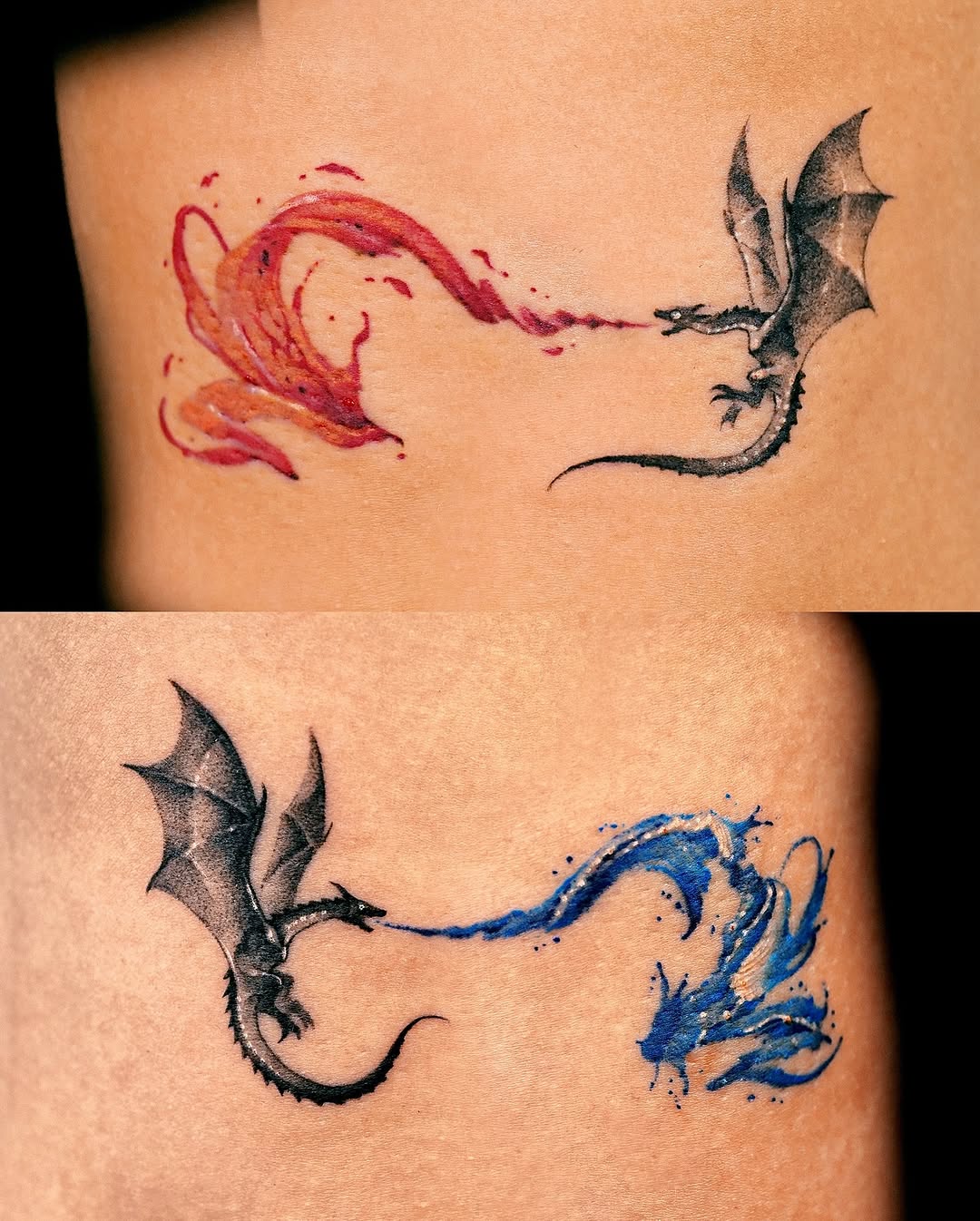 Dragon, 변화, 불사조