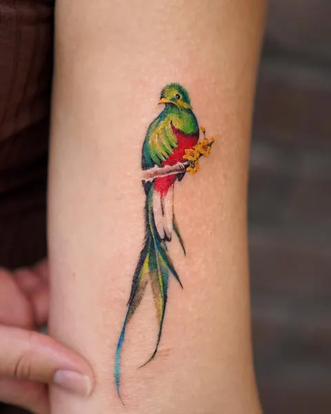 Animal, Nature