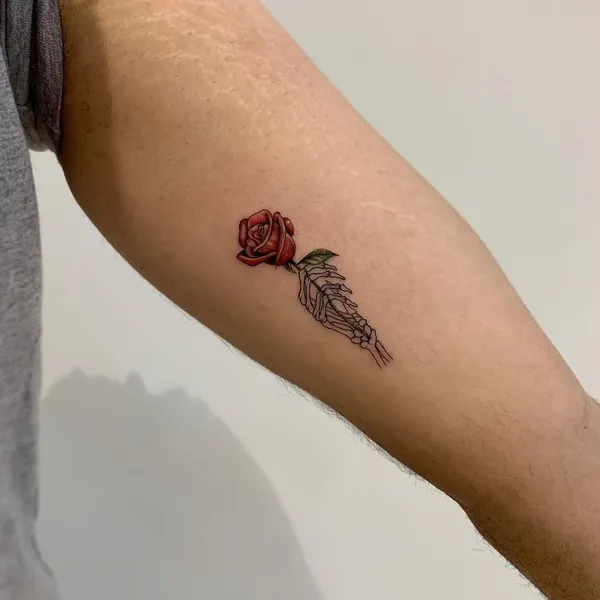 Flower, Rose