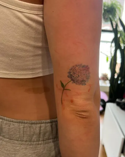 Flower, Rose, Nature
