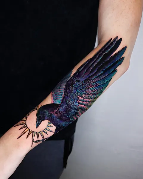 Animal, 새, 공작, 까마귀, 앵무새
