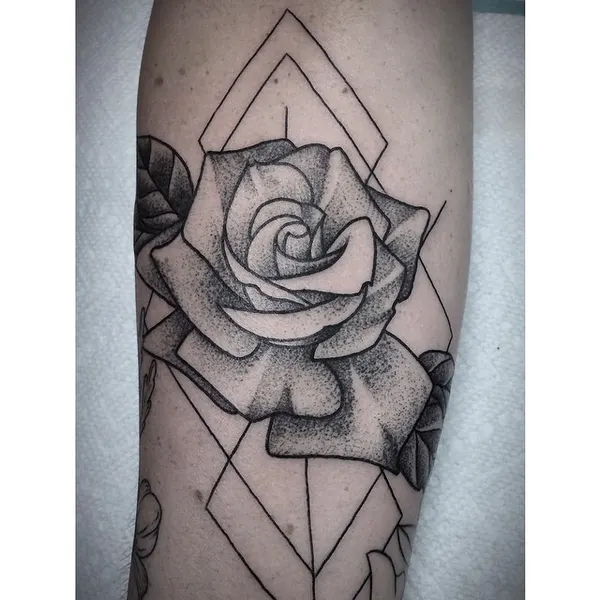 Flower, Rose