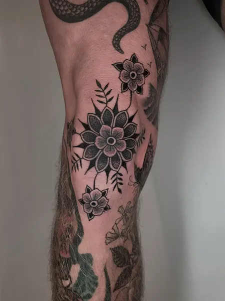Flower, Rose, Nature, Animal