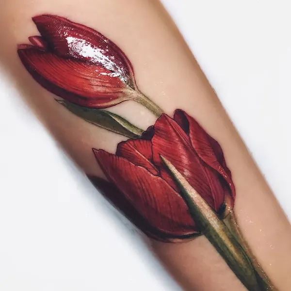 Flower, 튤립