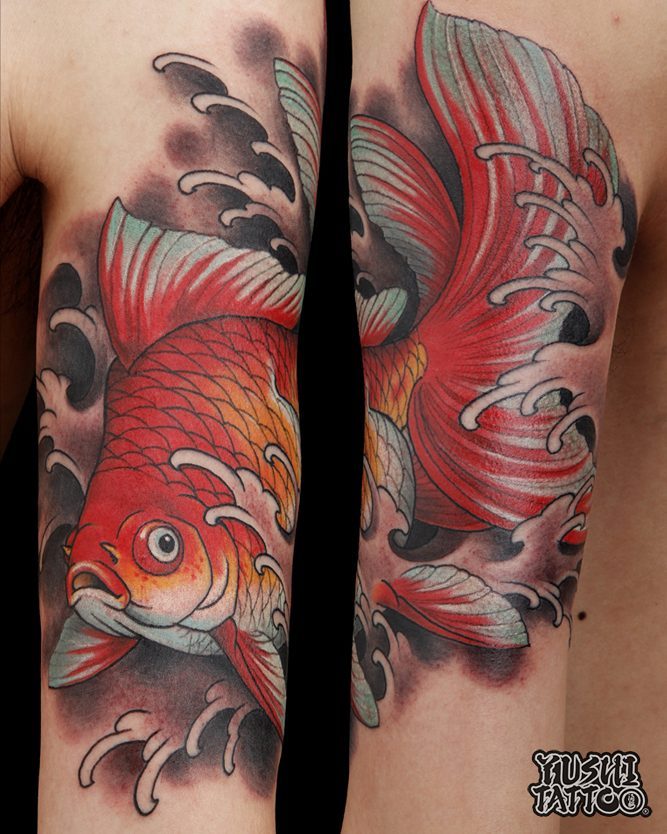 Animal, 잉어