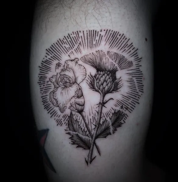 Flower, Rose