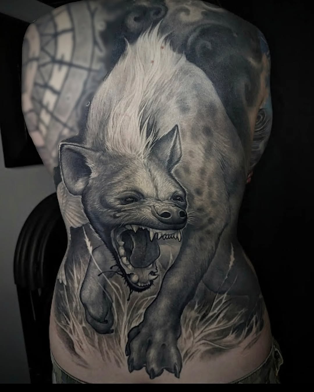 Animal, Tiger