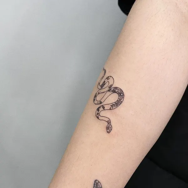 Dragon, 전갈자리
