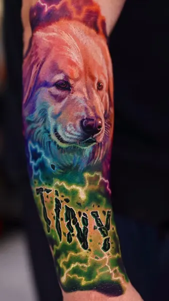 Animal