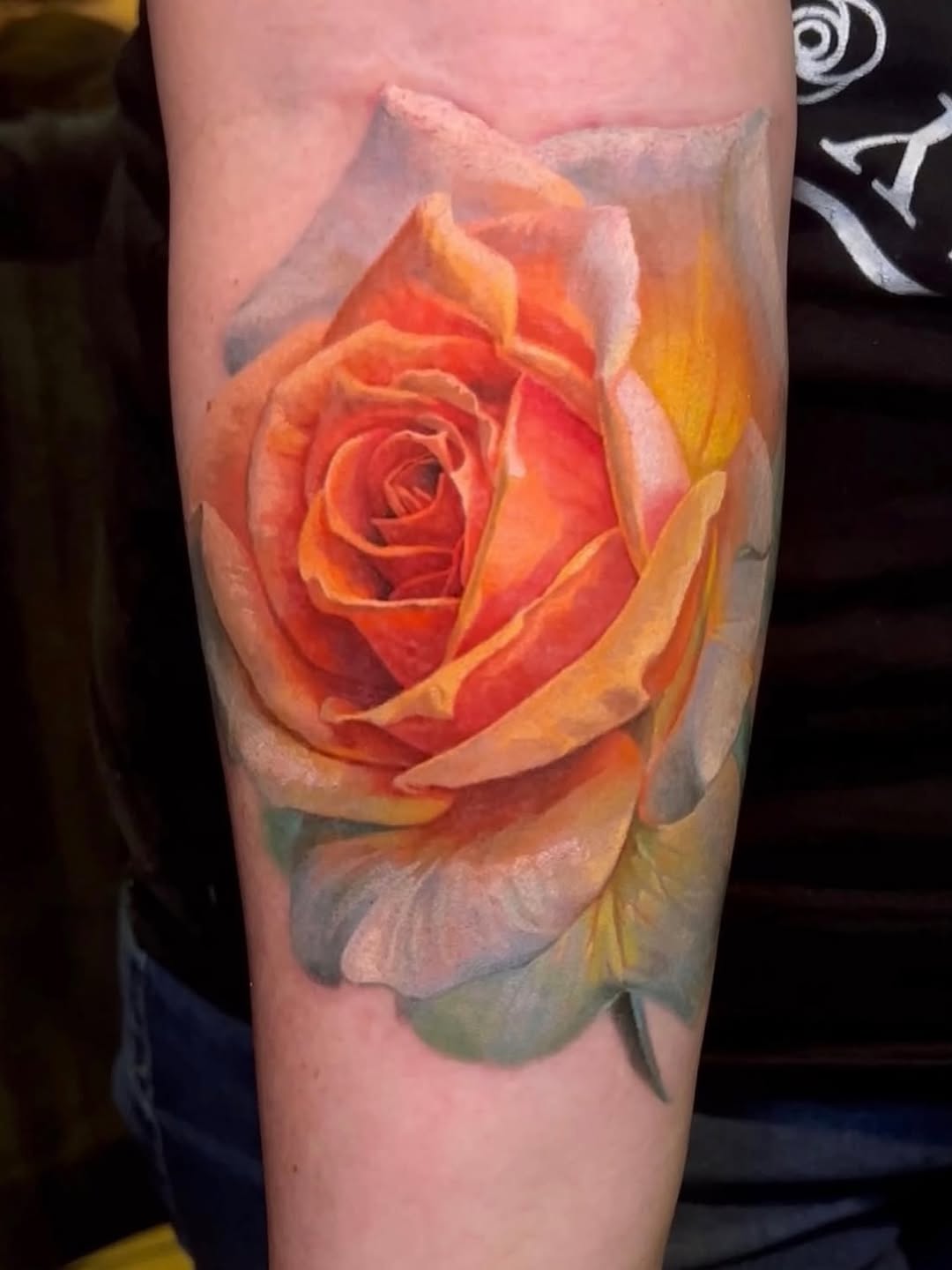 Flower, Rose