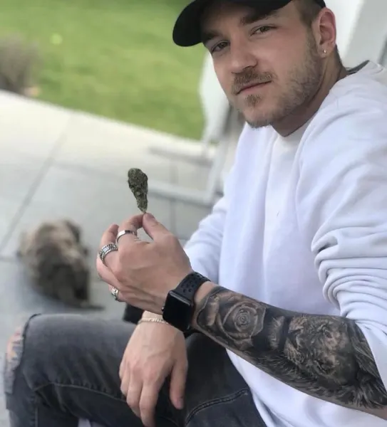 danmcwilliamsart