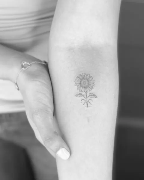 연꽃, 태양, 데이지, Flower, 보호 상징, 연꽃 문양
