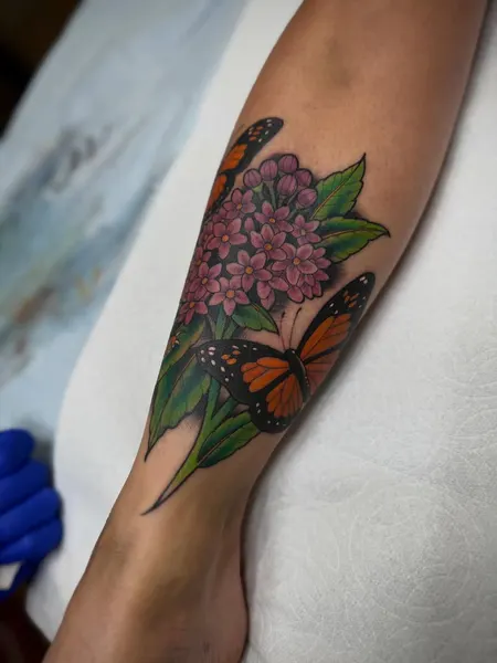 Nature, Animal