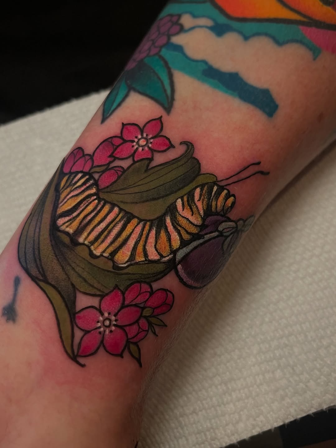 charlotte.e.tattoos
