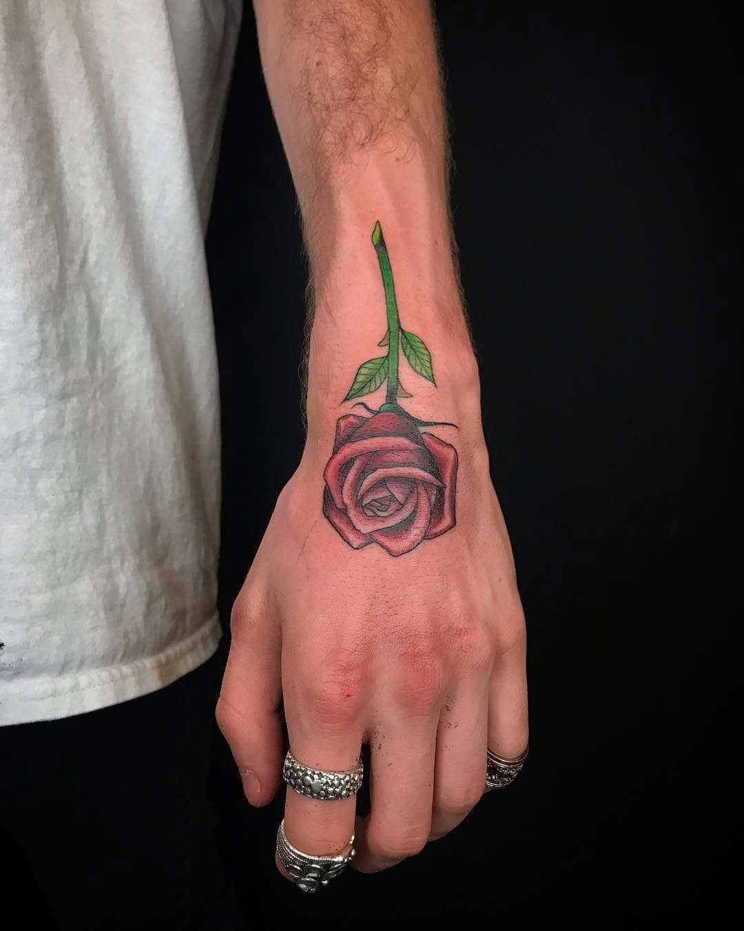 Flower, Rose