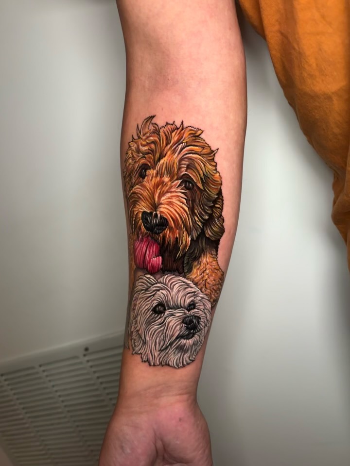 Animal