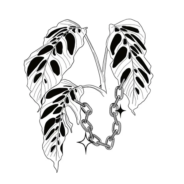 plantsnpokes