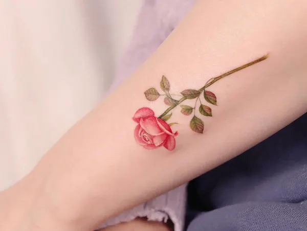 Flower, 사쿠라