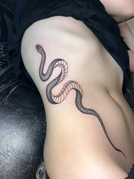 지네, Snake