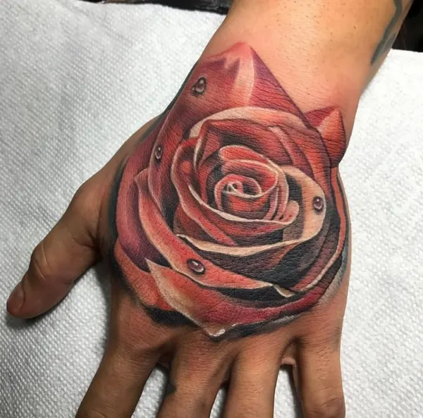 Flower, Rose