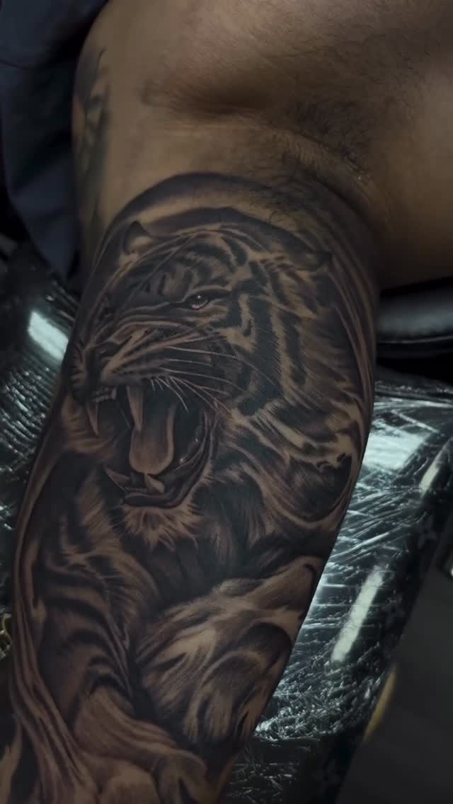 Tiger, 사자자리, 한국 호랑이