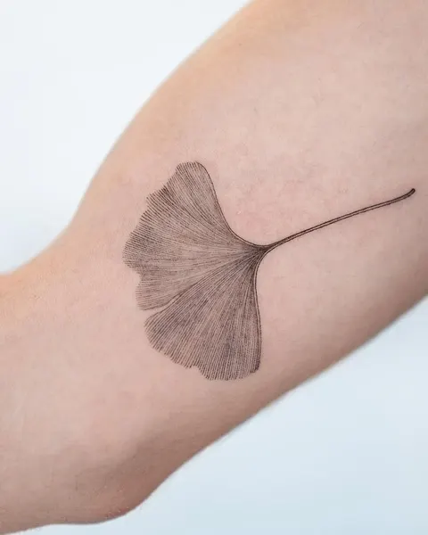 Flower, 잎, 깃털