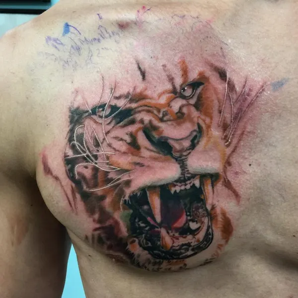 Tiger, 일본 호랑이, 중국 호랑이, 한국 호랑이