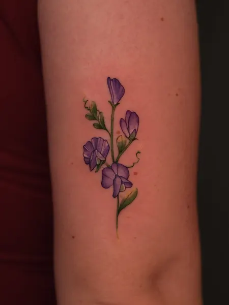 Flower, Rose, 아이리스, 수국, 라벤더