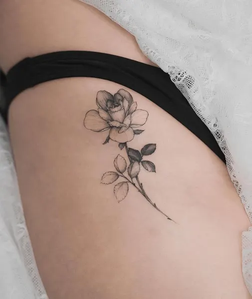 Flower, Rose, 잎, 단풍잎, 은행잎