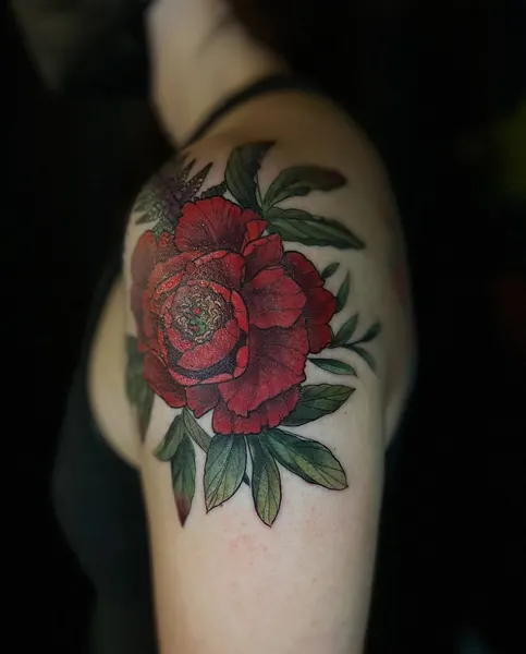 Flower, Rose
