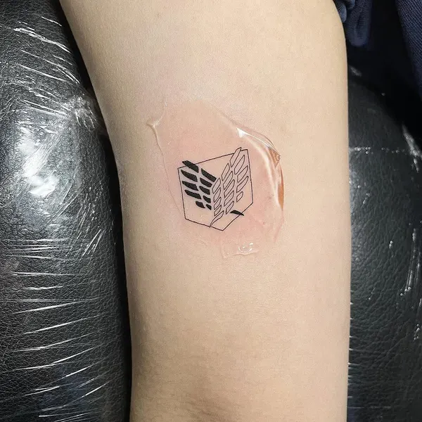 책, 사각형