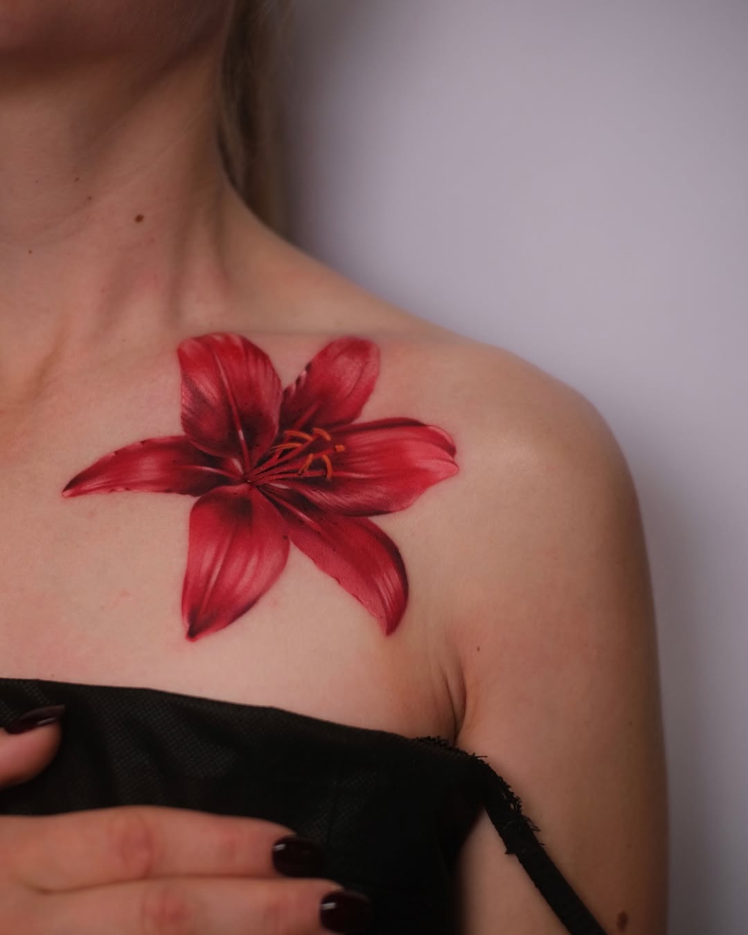 모란, Flower, 백합, 국화, 양귀비, 히비스커스, 연꽃, 튤립, 탄생화