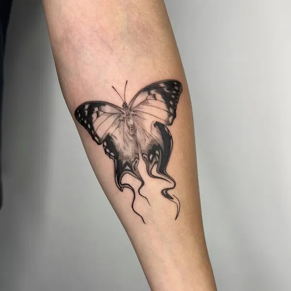 Animal, Nature