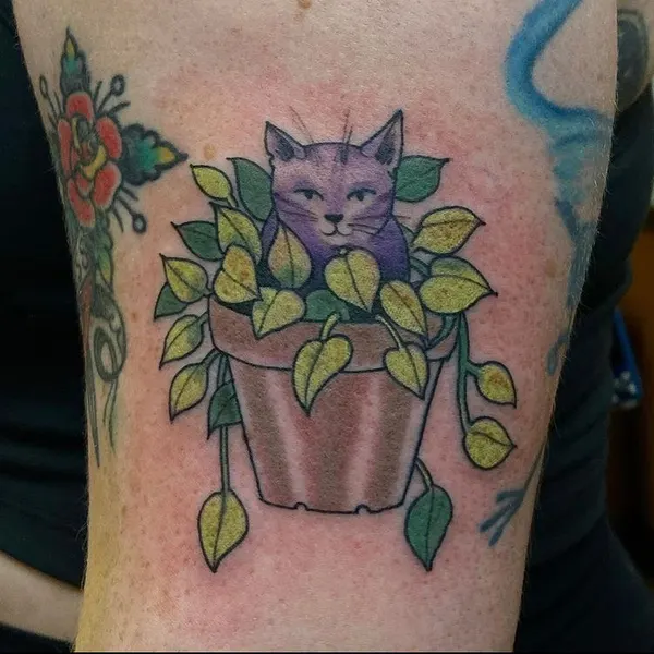 Flower, 선인장