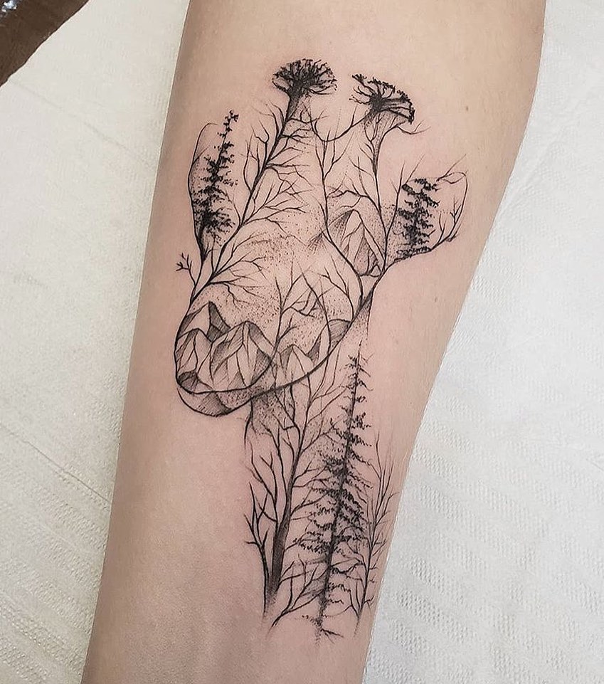 equilattera