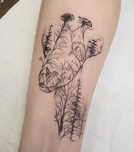 equilattera