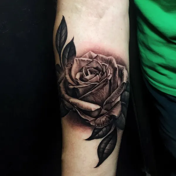 Flower, Rose