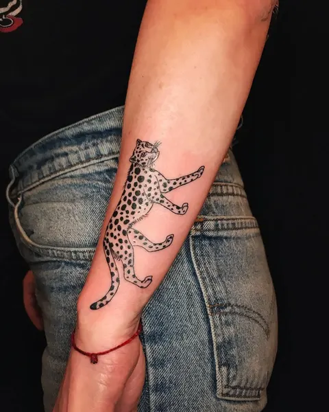 Animal, Tiger, 산호