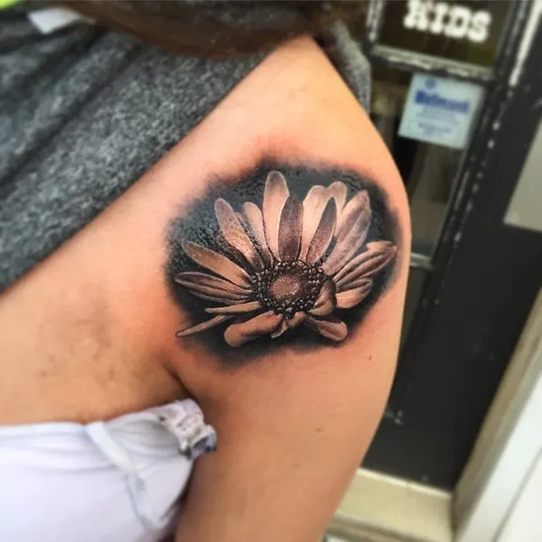 국화, Flower, 탄생화