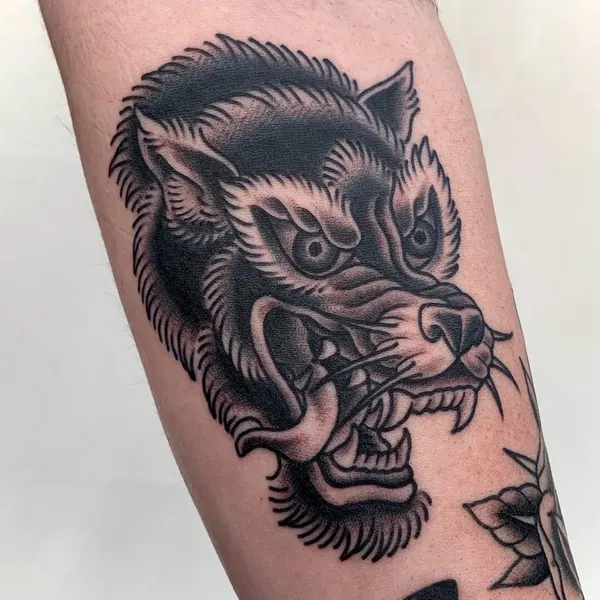 Animal, Tiger