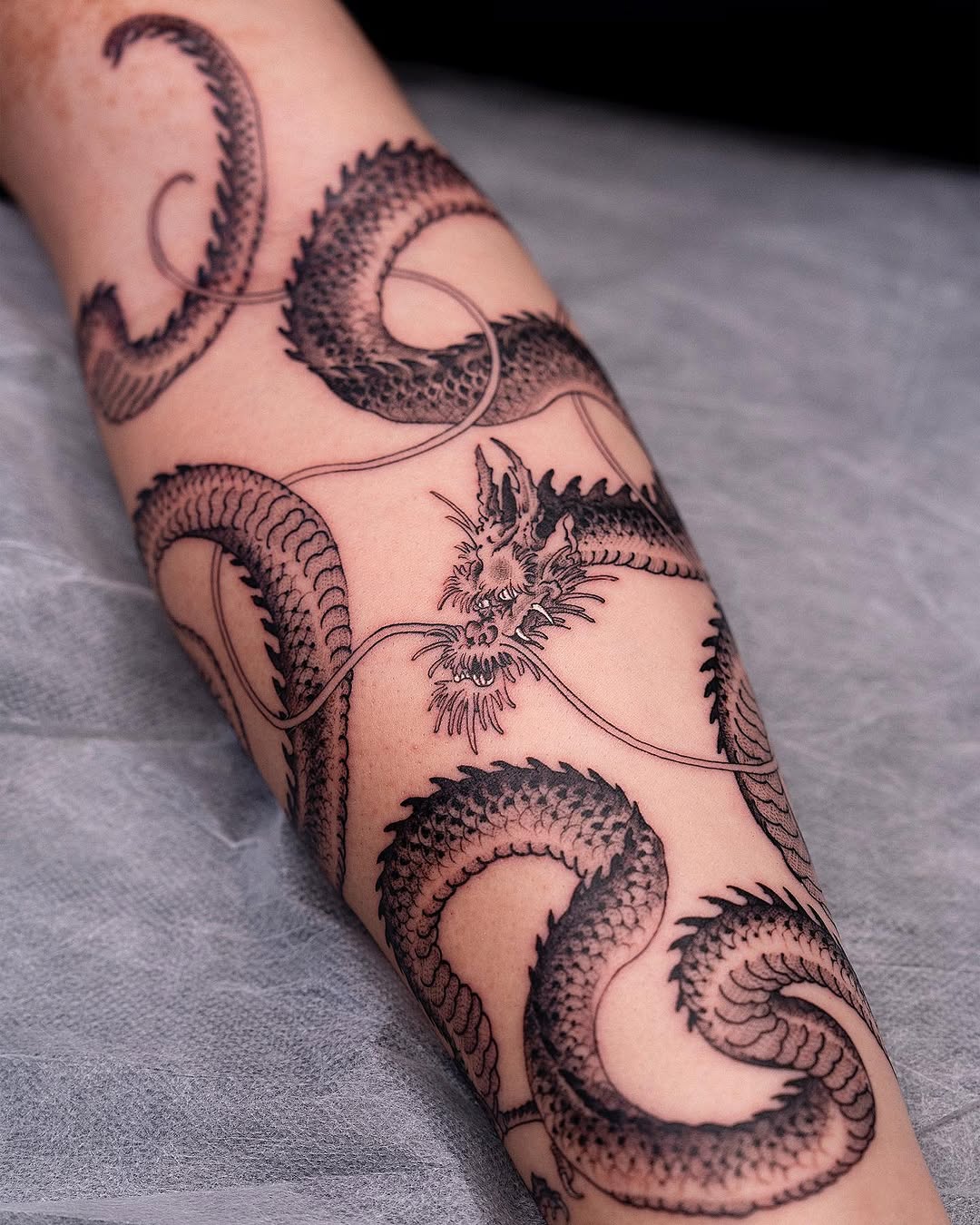 Dragon, 산호